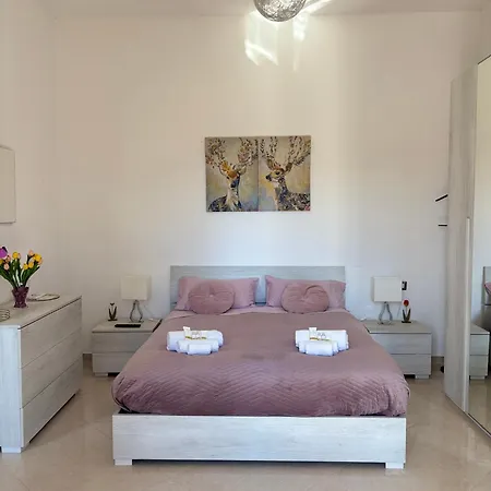Il Tulipano *