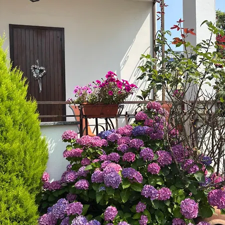 Il Tulipano Free Private Parking Como