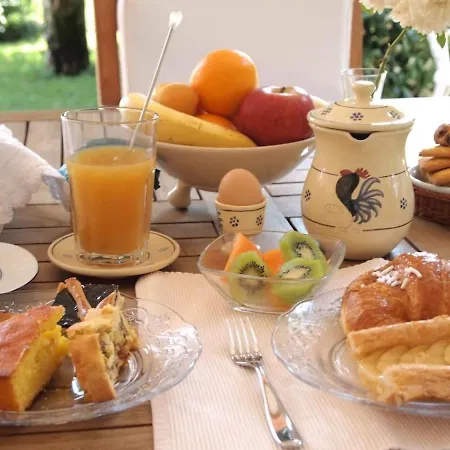 Il Tulipano Free Private Parking Bed and breakfast