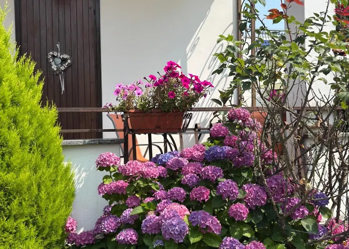 Il Tulipano Комо